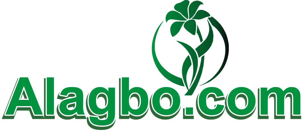 alagbo.com